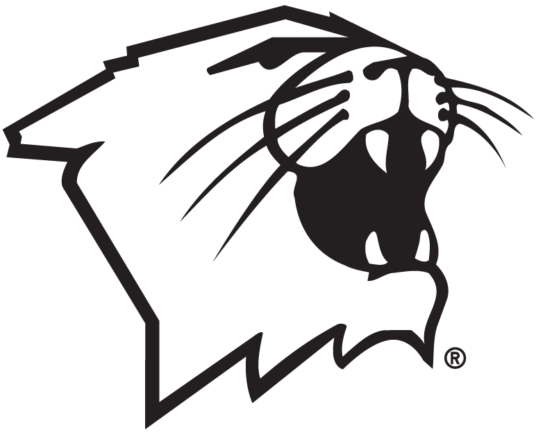 Northwestern Wildcats 1981-Pres Partial Logo v2 DIY iron on transfer (heat transfer)
